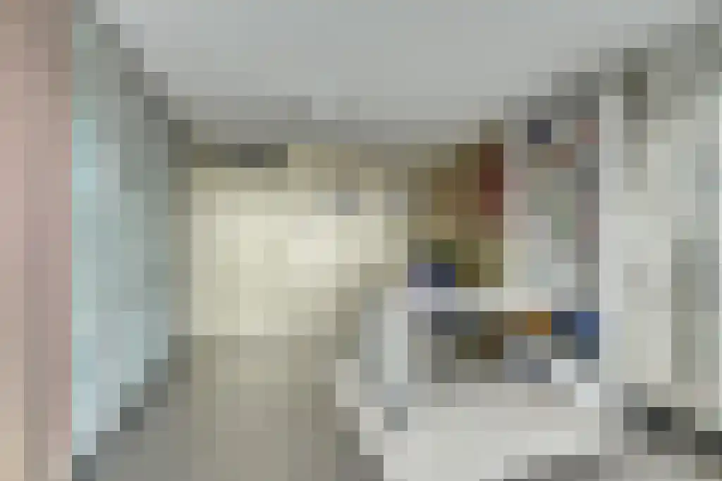 Groeneveldstraat 43 Monster thumbnail 14