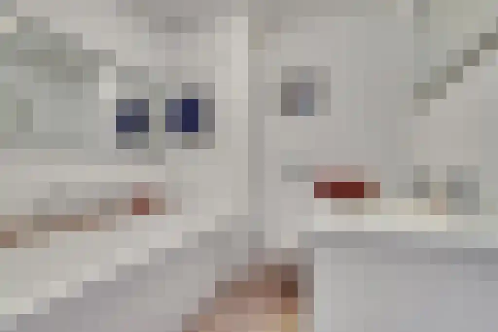Groeneveldstraat 43 Monster thumbnail 17