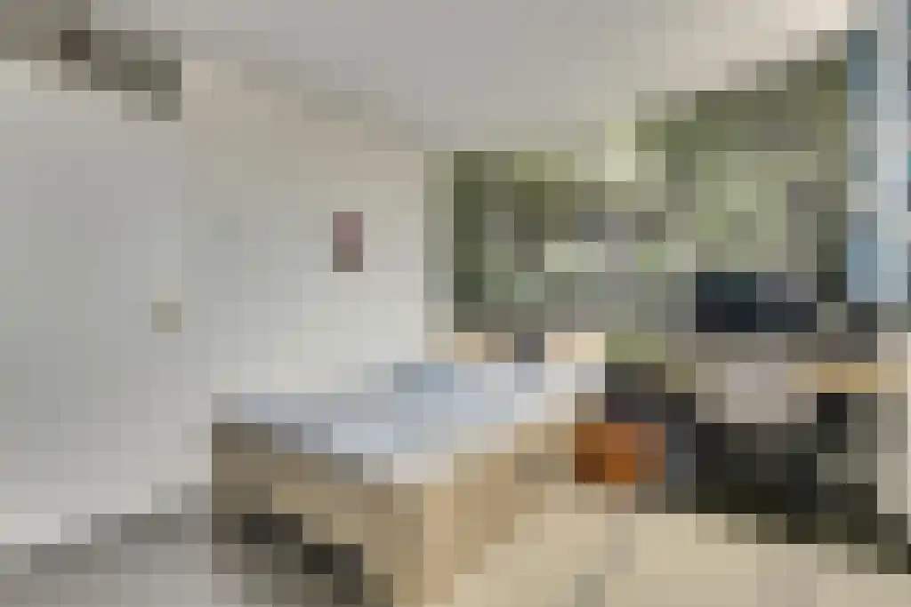 Groeneveldstraat 43 Monster thumbnail 20