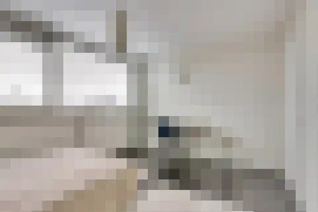 Groeneveldstraat 43 Monster thumbnail 21