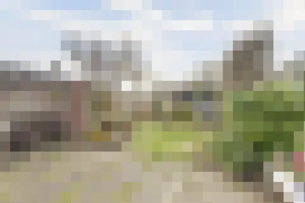 Groeneveldstraat 43 Monster thumbnail 26