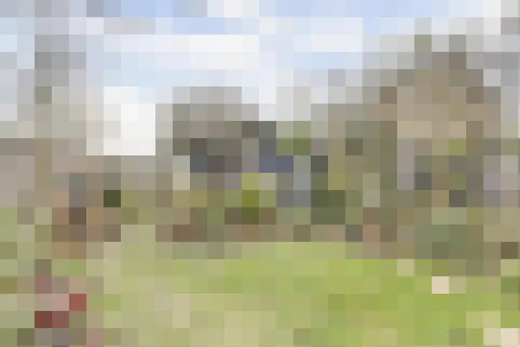 Groeneveldstraat 43 Monster thumbnail 27
