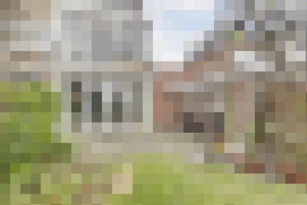 Groeneveldstraat 43 Monster thumbnail 28