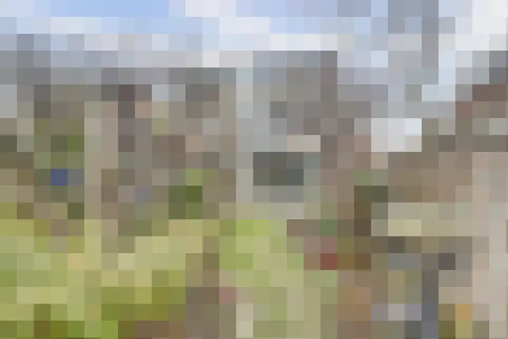 Groeneveldstraat 43 Monster thumbnail 30