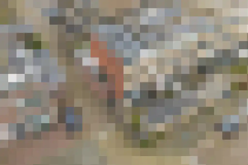 Groeneveldstraat 43 Monster thumbnail 33