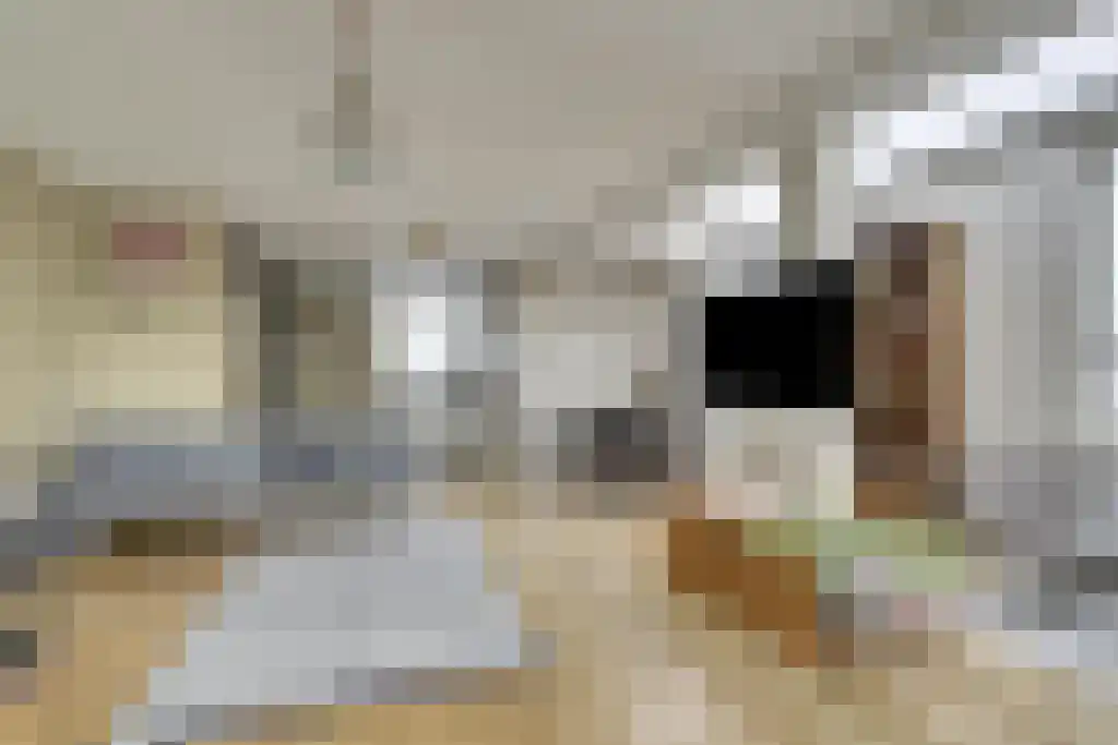 Groeneveldstraat 43 Monster thumbnail 4