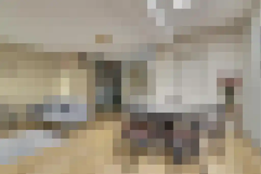 Groeneveldstraat 43 Monster thumbnail 7