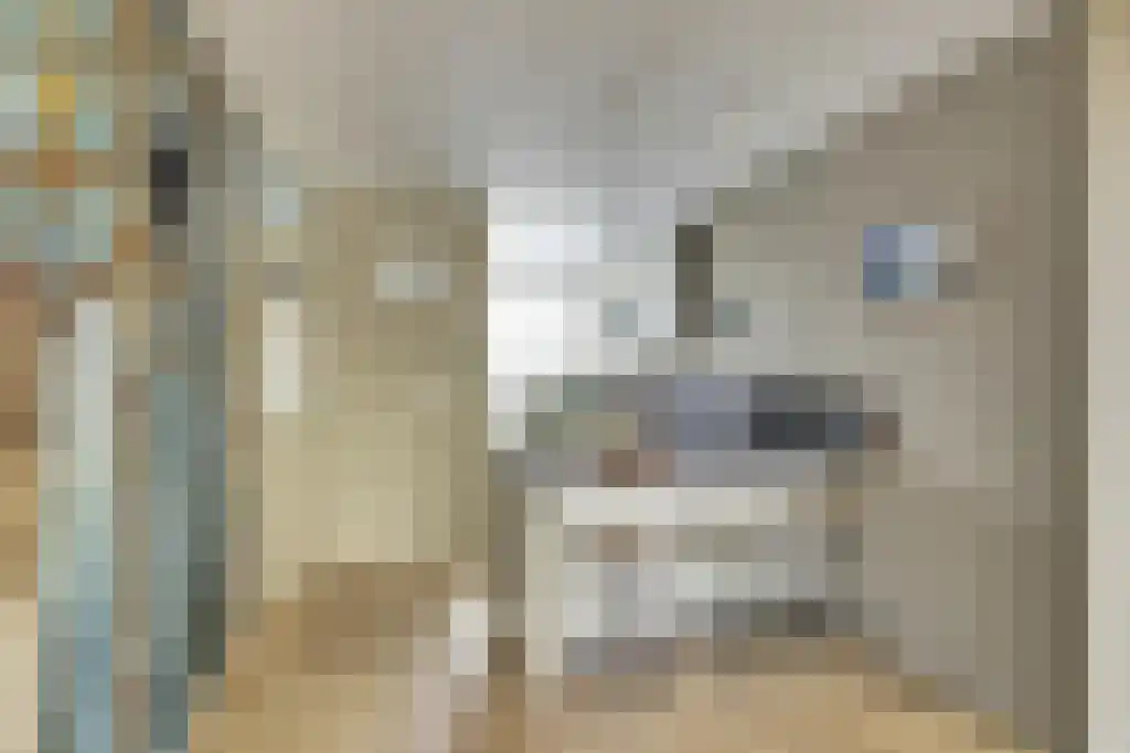 Groeneveldstraat 43 Monster thumbnail 8