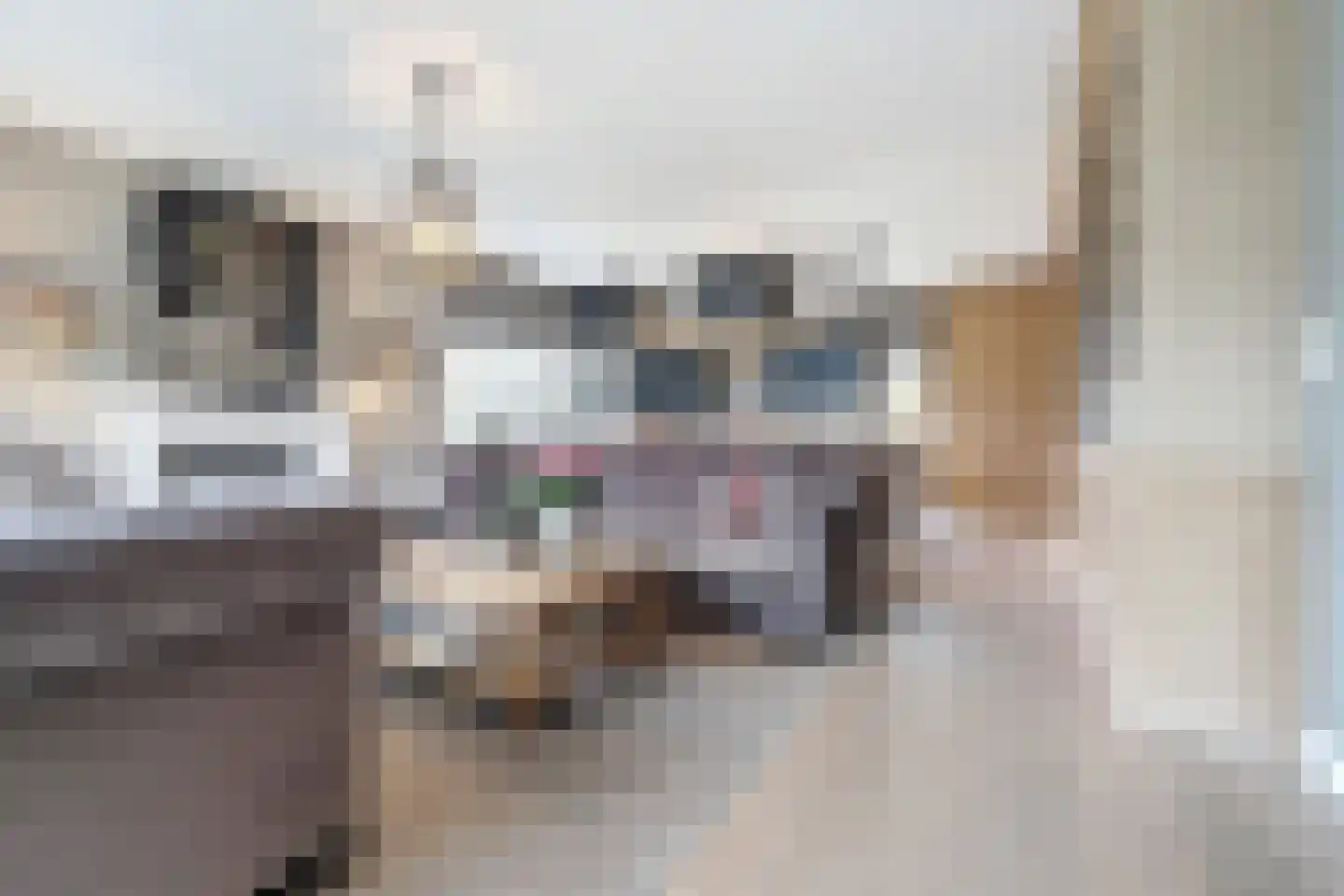 Groenevelt 10 Sluis thumbnail 10