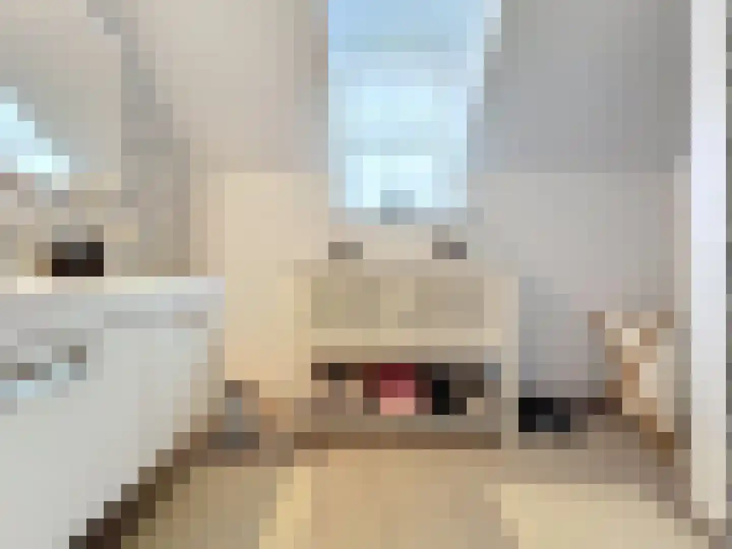 Groenevelt 10 Sluis thumbnail 29