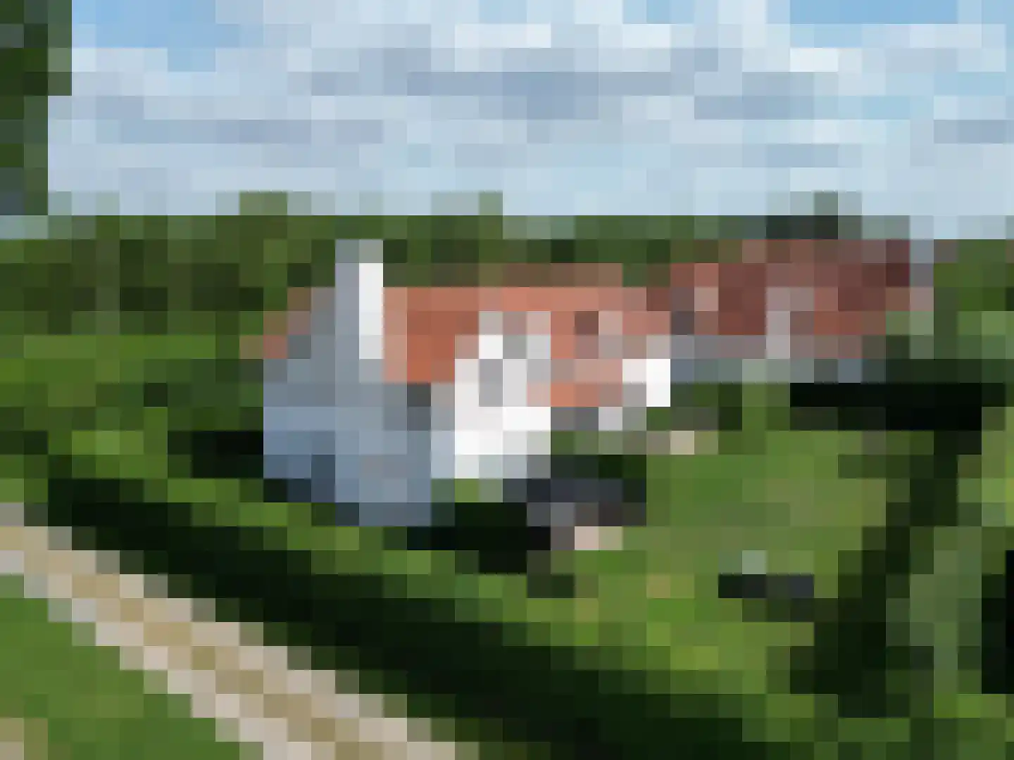 Groenevelt 10 Sluis thumbnail 34