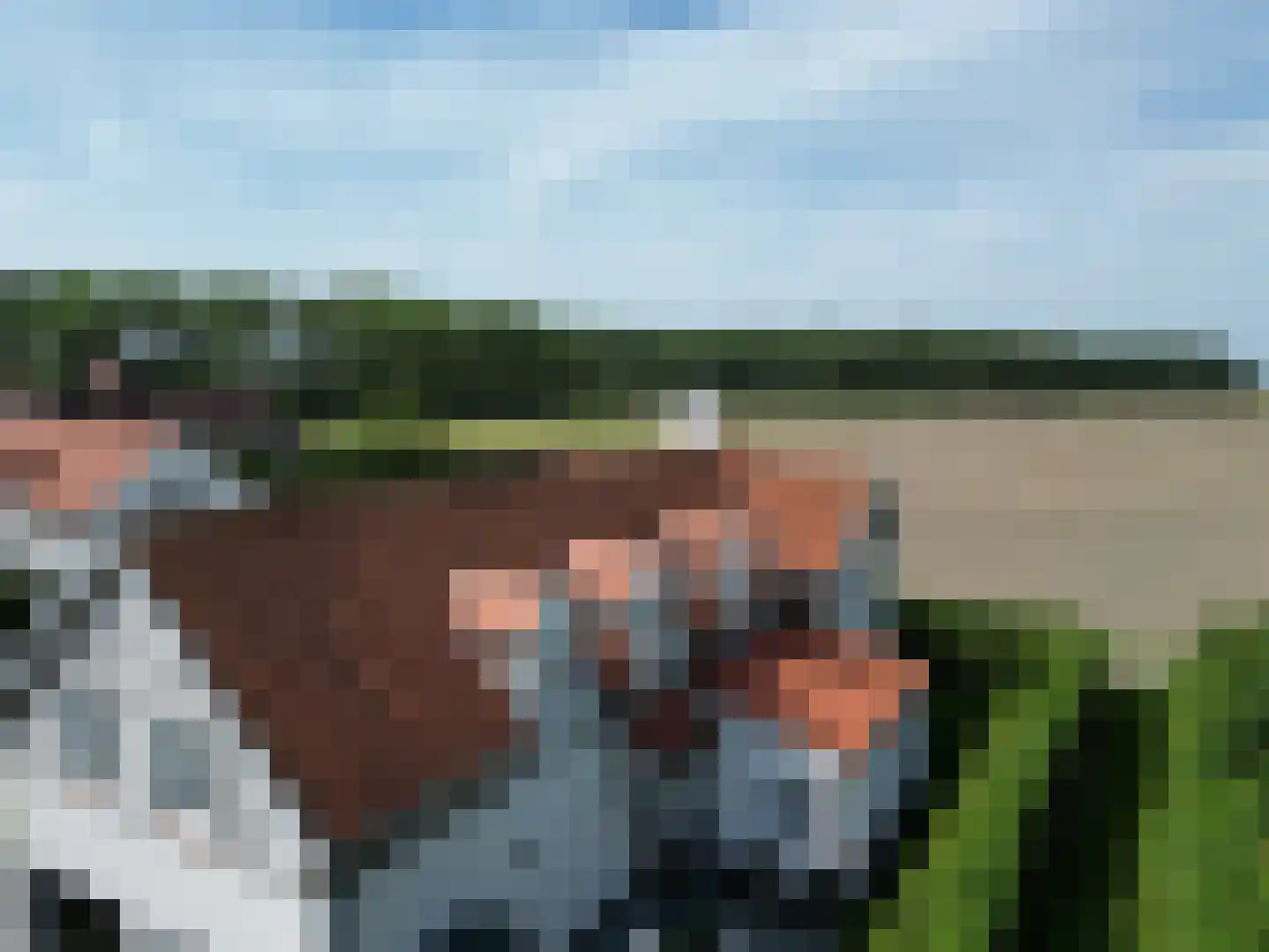 Groenevelt 10 Sluis thumbnail 38