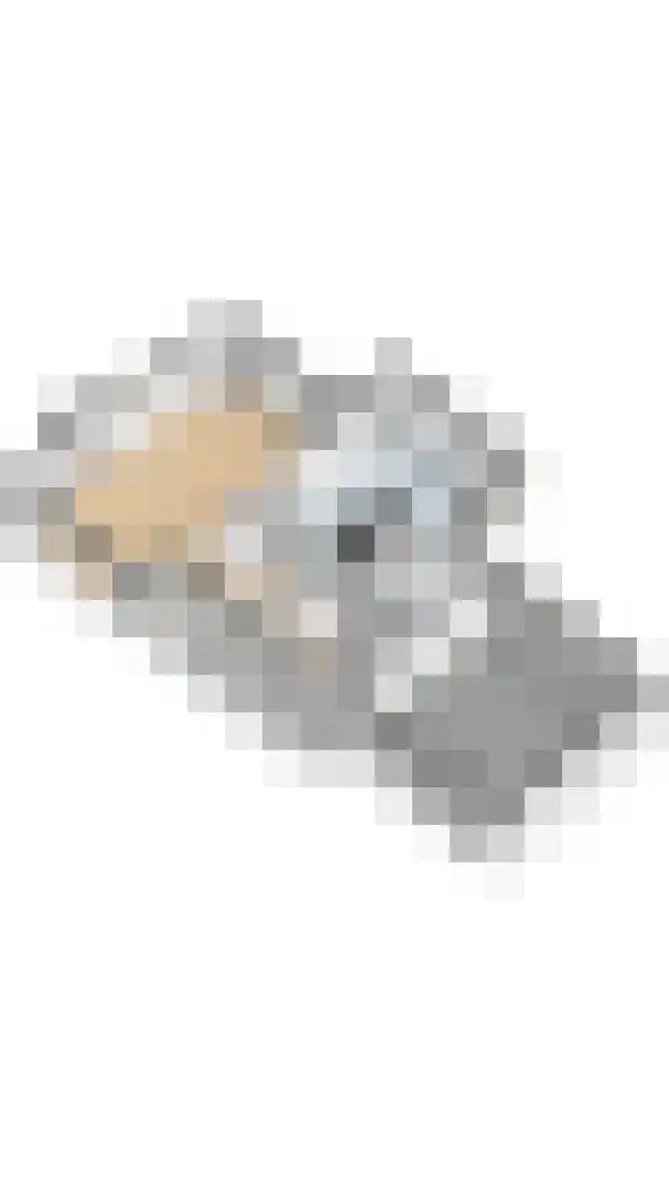 Groenevelt 10 Sluis thumbnail 41