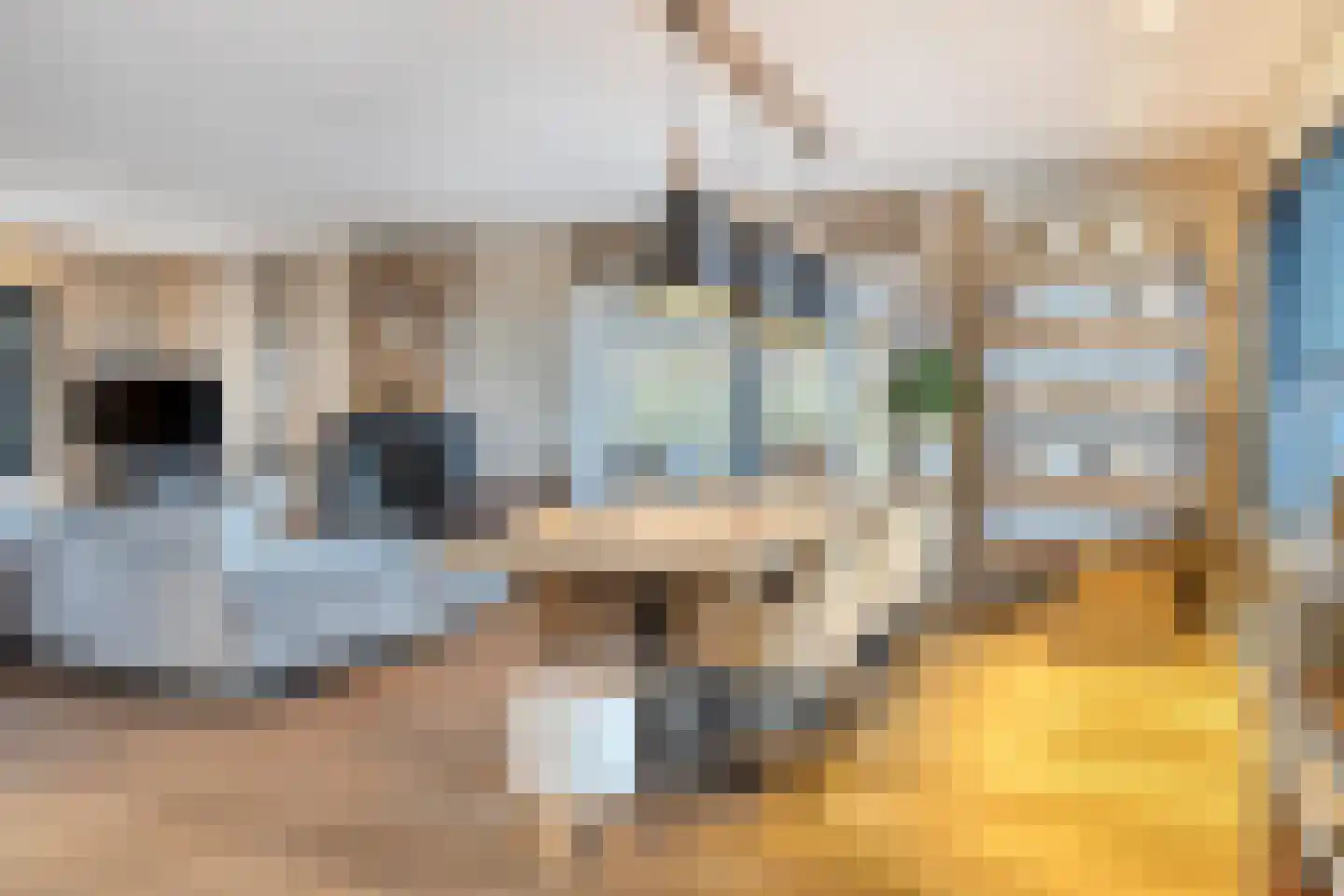 Groenevelt 12 Sluis thumbnail 15