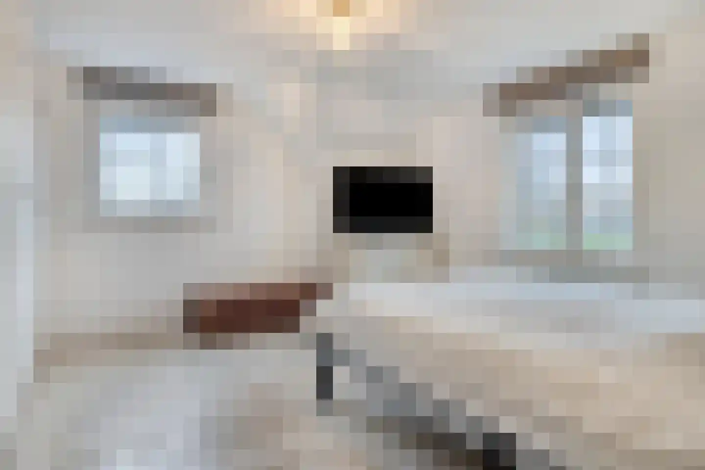 Groenevelt 12 Sluis thumbnail 24