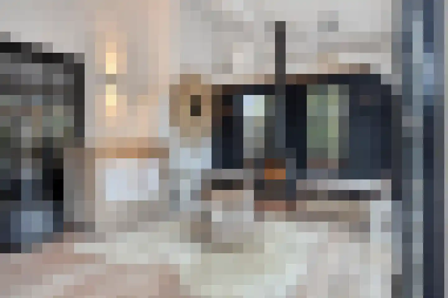 Groenevelt 12 Sluis thumbnail 35