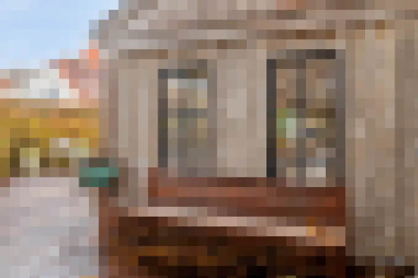 Groenevelt 12 Sluis thumbnail 41
