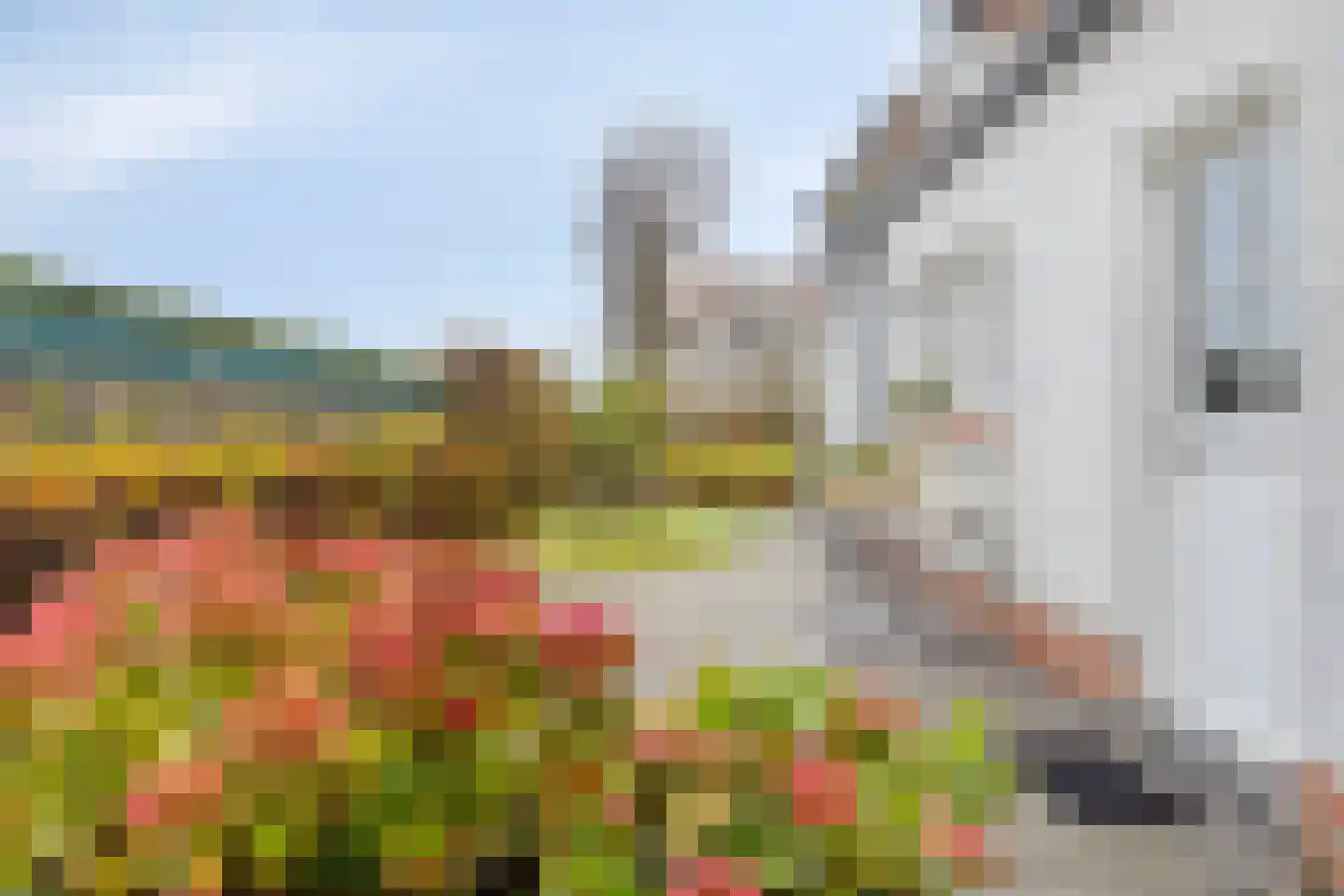 Groenevelt 12 Sluis thumbnail 43