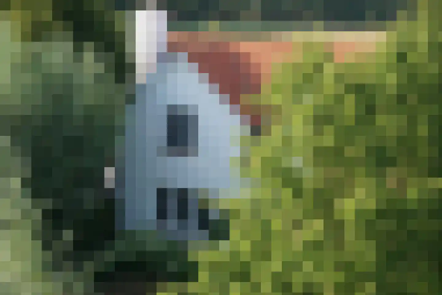 Groenevelt 12 Sluis thumbnail 5