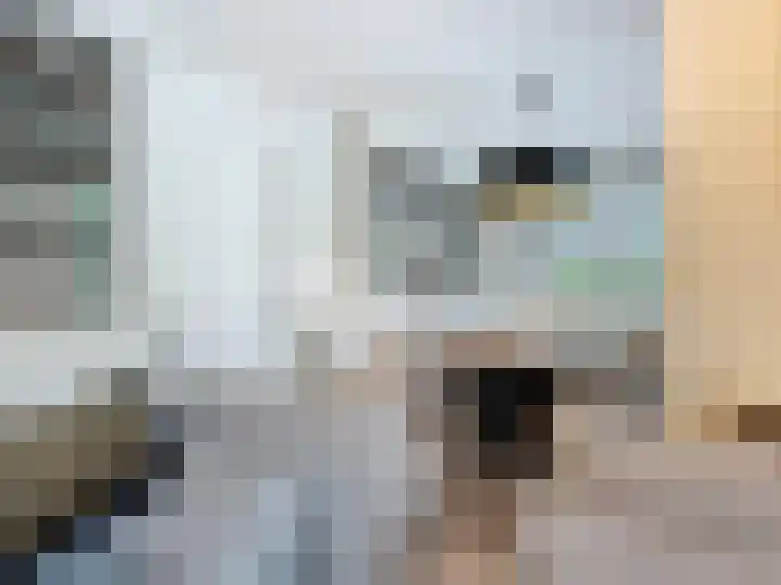 Groenevelt 27 Sluis thumbnail 12