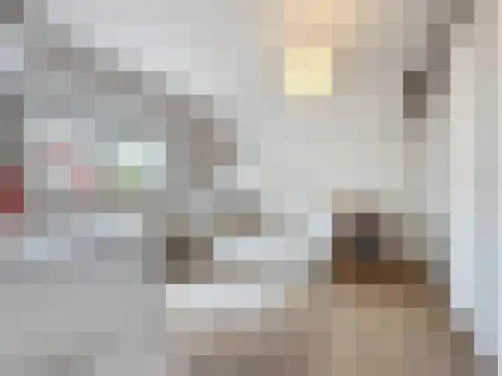 Groenevelt 27 Sluis thumbnail 41