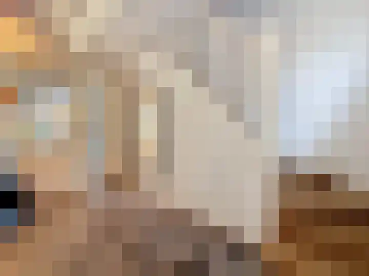 Groenevelt 27 Sluis thumbnail 8