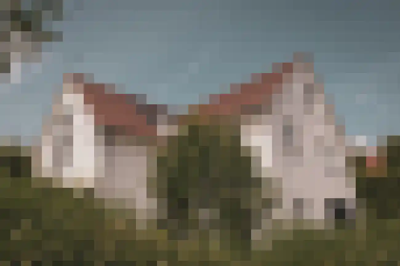 Groenevelt 30 Sluis thumbnail 5