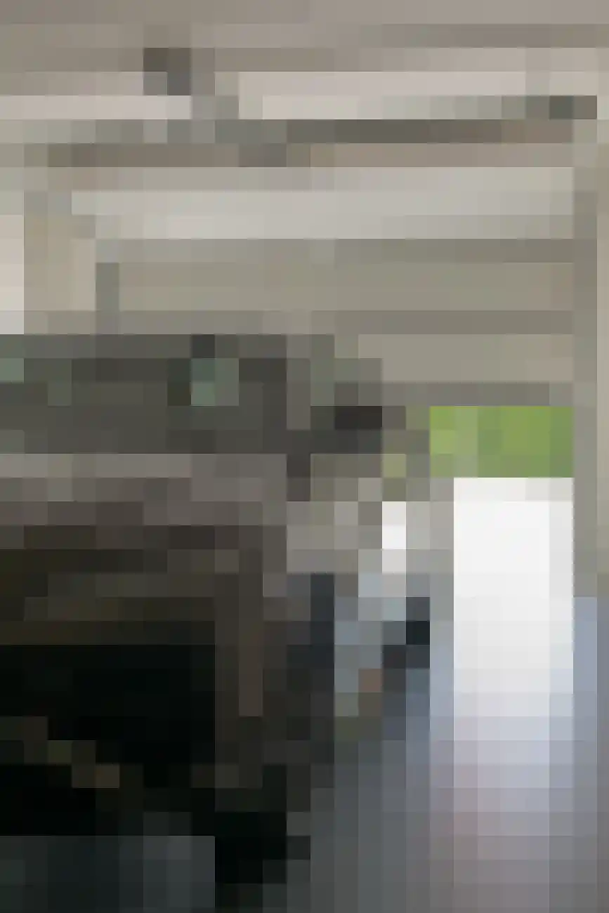 Groenevelt 30 Sluis thumbnail 50