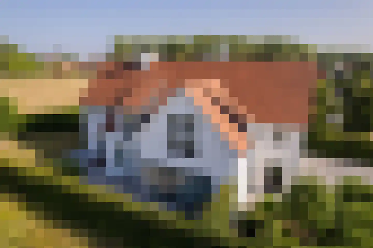 Groenevelt 30 Sluis thumbnail 51