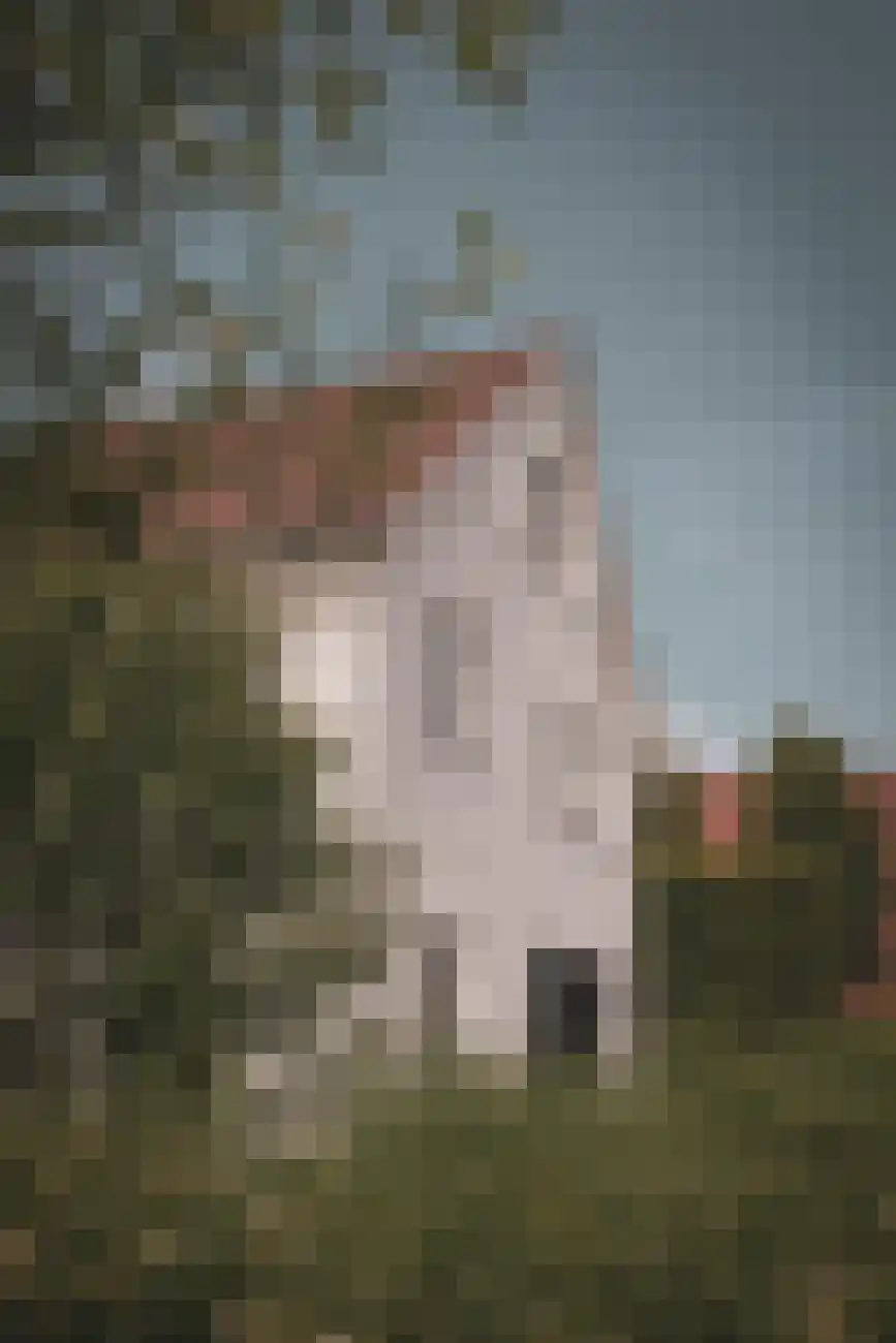 Groenevelt 30 Sluis thumbnail 53