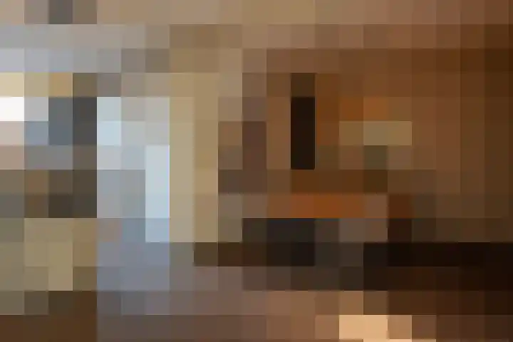 Groeneveltstraat 102 Putten thumbnail 5