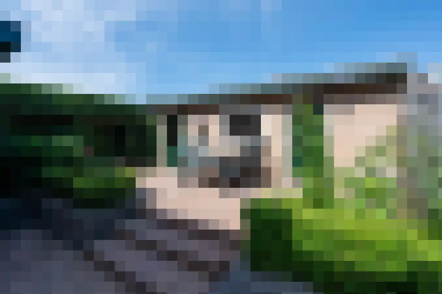 Groeneveltstraat 116 Putten thumbnail 35