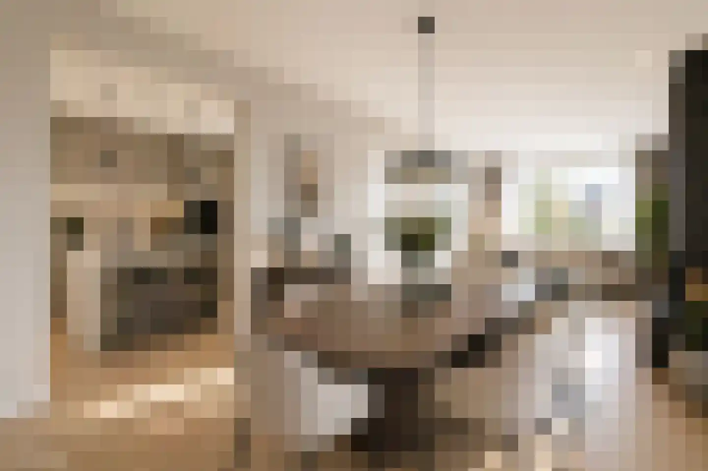 Groeneveltstraat 16 Putten thumbnail 8