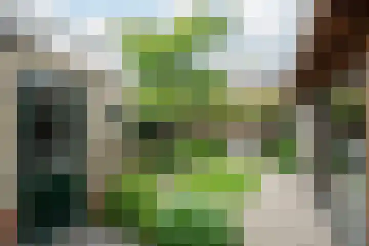 Groeneveltstraat 18 Putten thumbnail 31