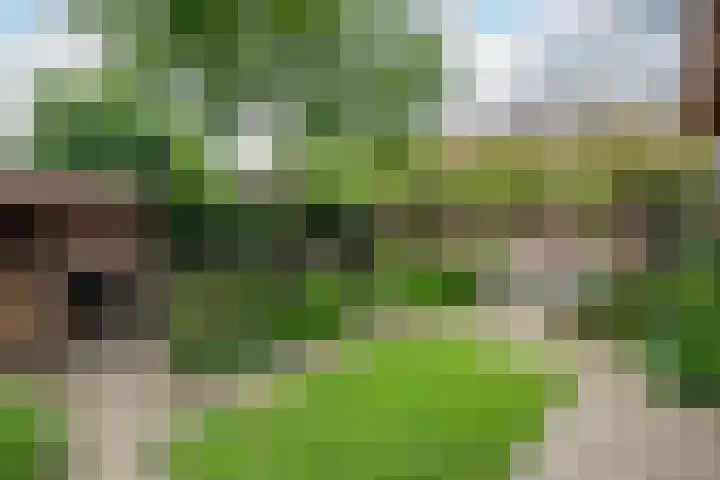 Groeneveltstraat 18 Putten thumbnail 32