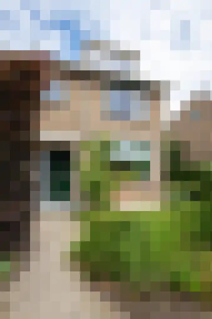 Groeneveltstraat 18 Putten thumbnail 4