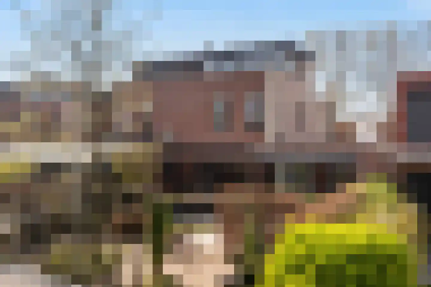 Groenewaal 7 Hendrik-Ido-Ambacht thumbnail 11