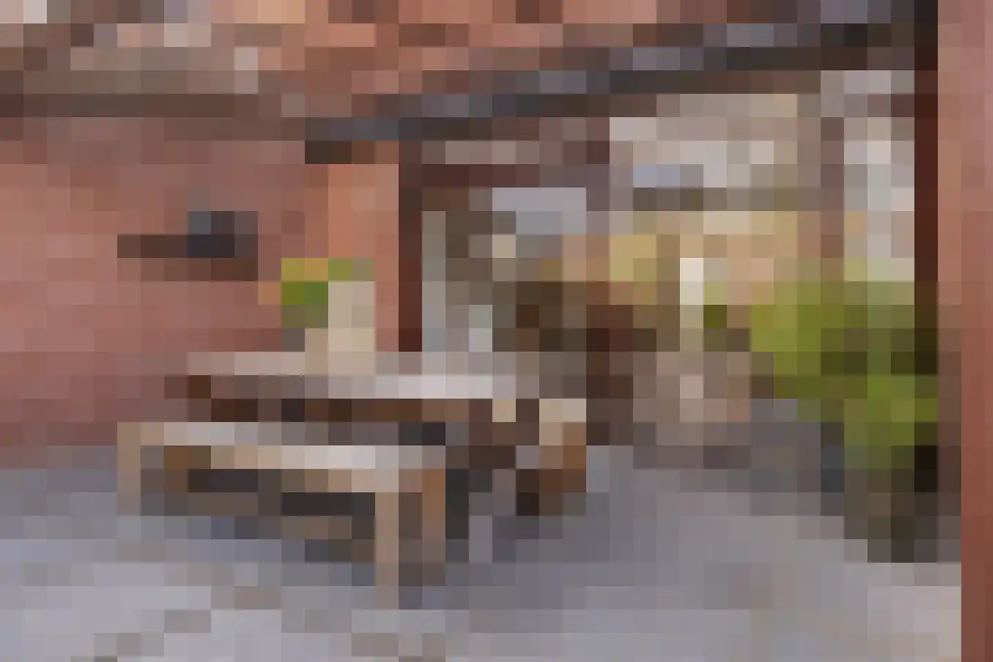 Groenewaal 7 Hendrik-Ido-Ambacht thumbnail 36
