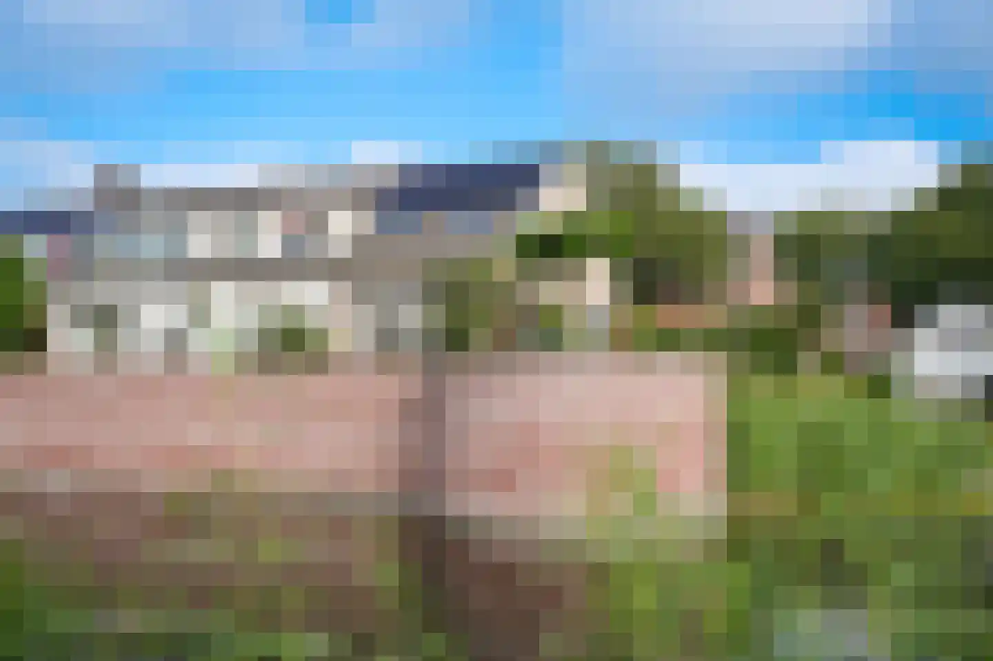 Groenewal 2 Heukelum thumbnail 31