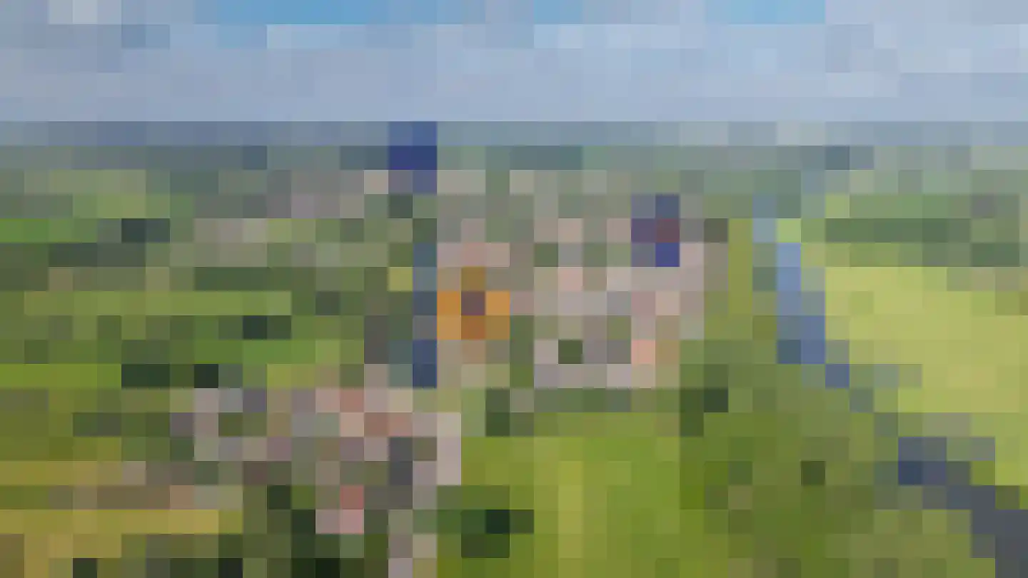 Groenewal 2 Heukelum thumbnail 38