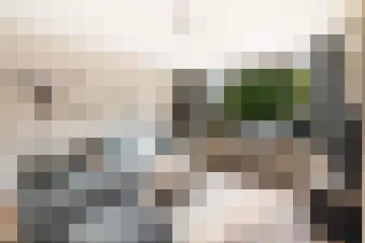 Groenewater 8 Zoetermeer thumbnail 12