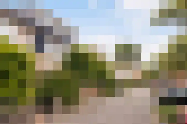 Groenewater 8 Zoetermeer thumbnail 53