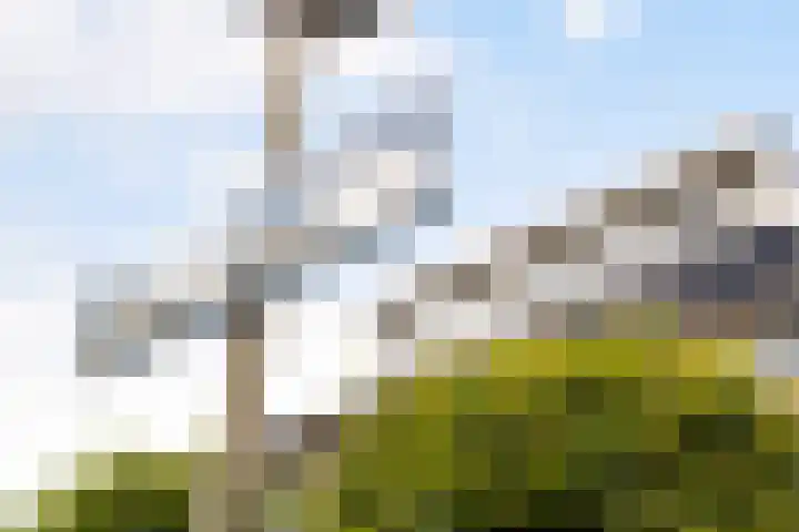 Groenewater 8 Zoetermeer thumbnail 55