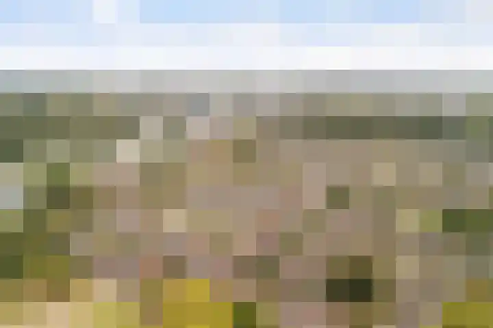 Groenewater 8 Zoetermeer thumbnail 60