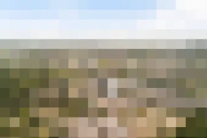 Groenewater 8 Zoetermeer thumbnail 62