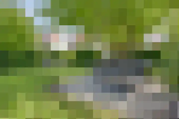 Groeneweg 1 0037 Bruinisse thumbnail 38