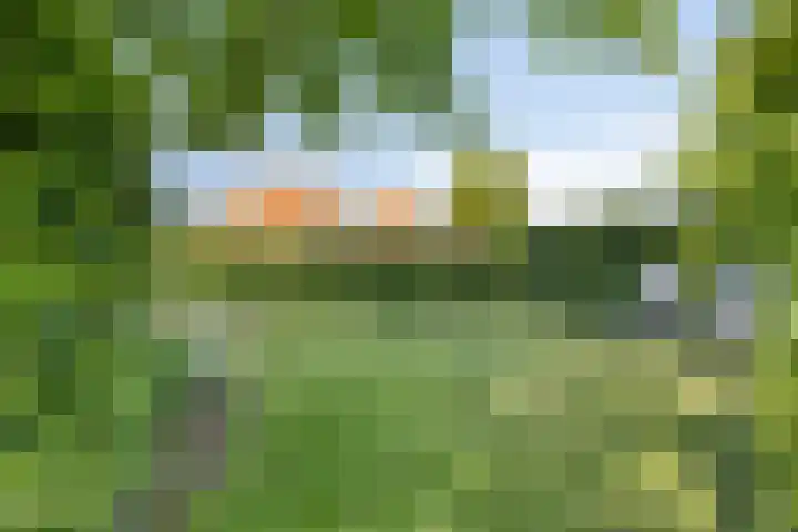 Groeneweg 1 0037 Bruinisse thumbnail 40
