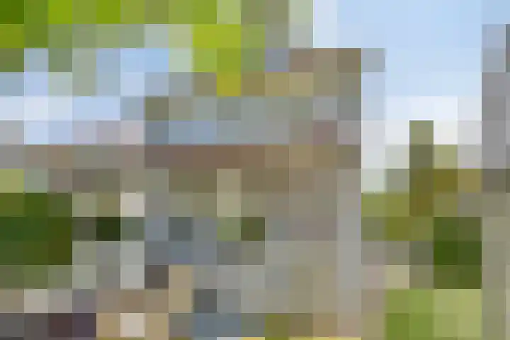 Groeneweg 1 0037 Bruinisse thumbnail 44