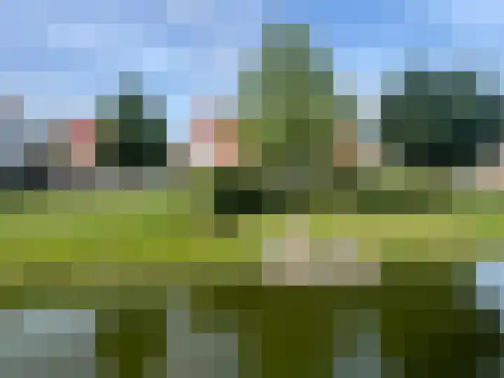 Groeneweg 1 0037 Bruinisse thumbnail 49