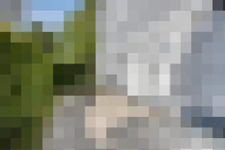 Groeneweg 1 0037 Bruinisse thumbnail 9